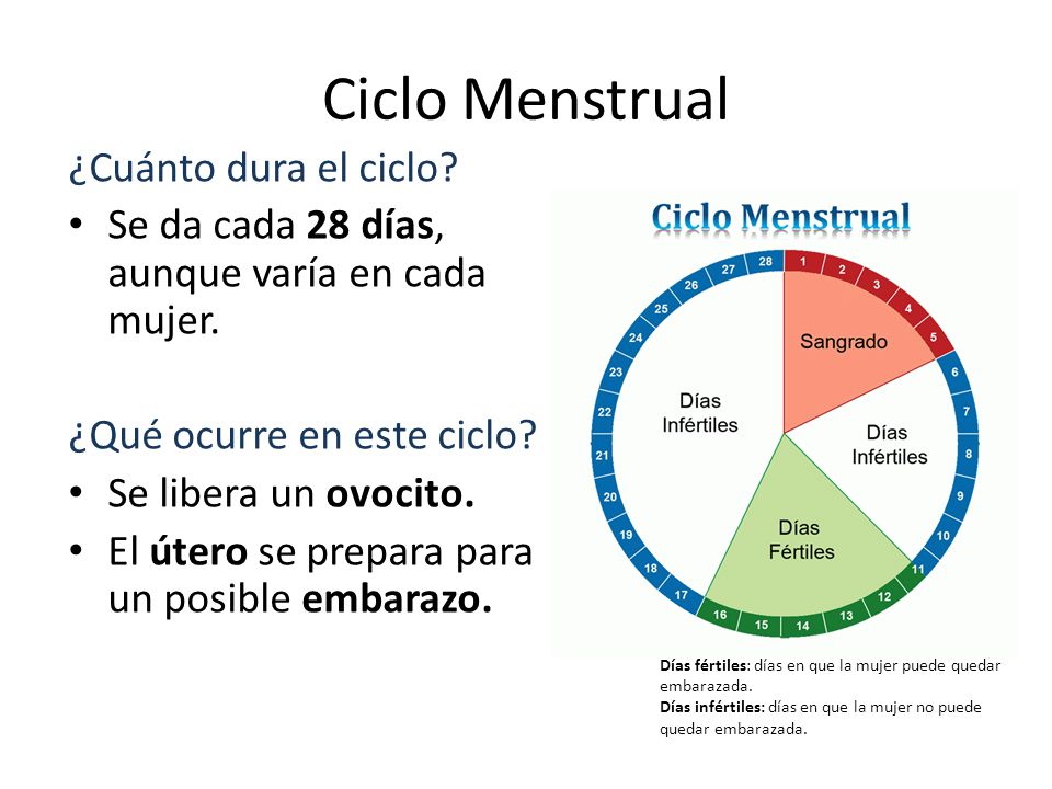 cuanto dura los dias fertiles de la mujer cuanto dura los dias fertiles de la mujer
